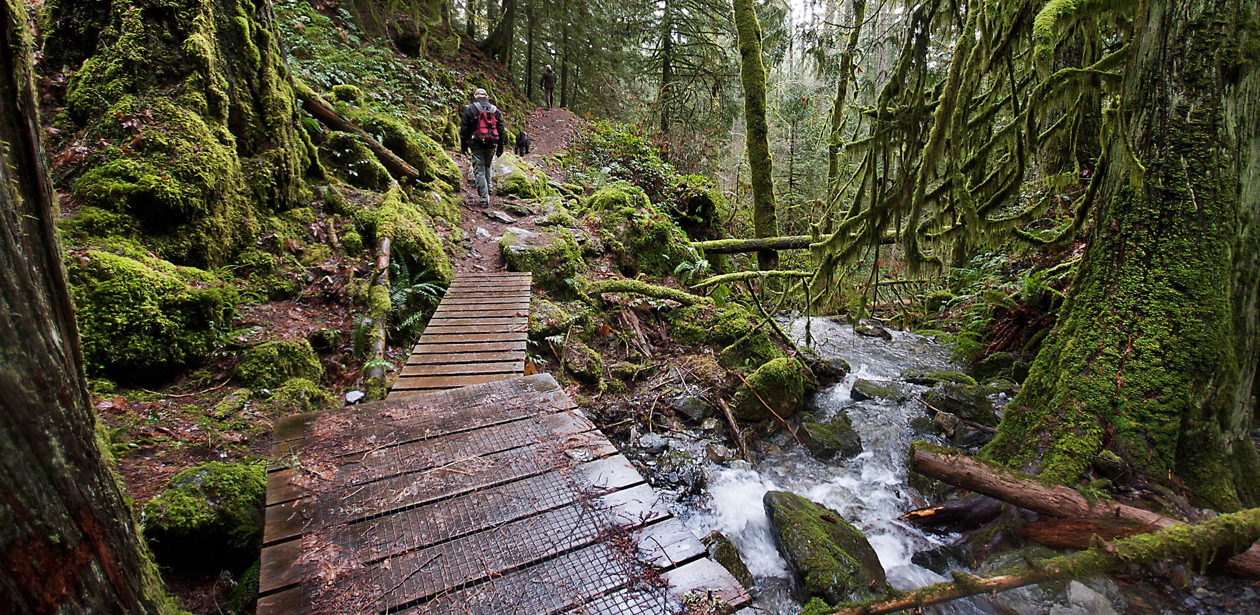 Comox Valley nature