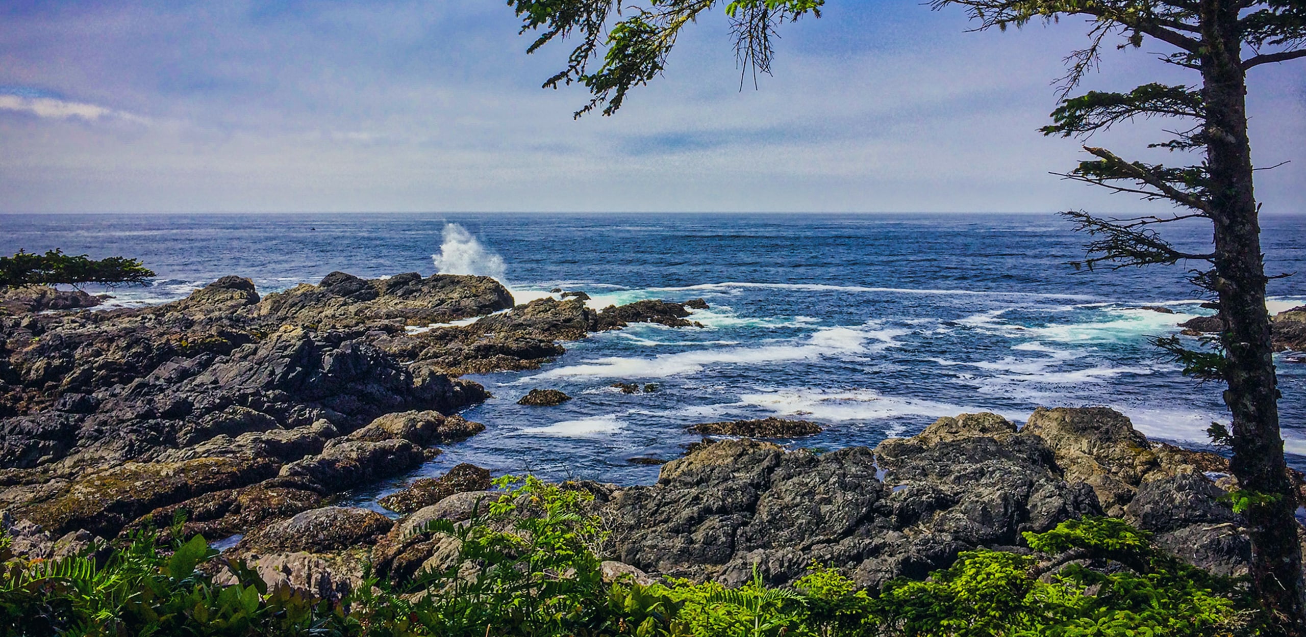 Ucluelet waterfront